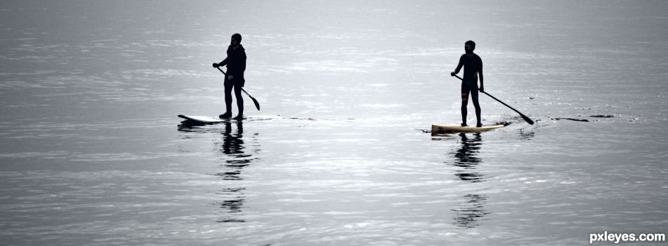 Paddle Boarders