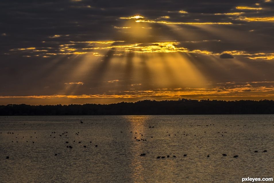 Myakka Sunset