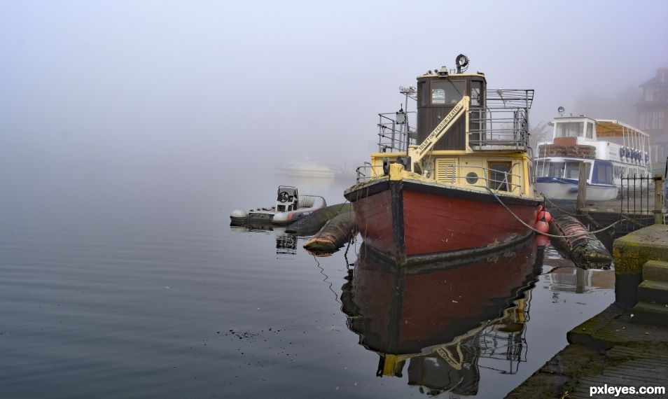 Misty Morning