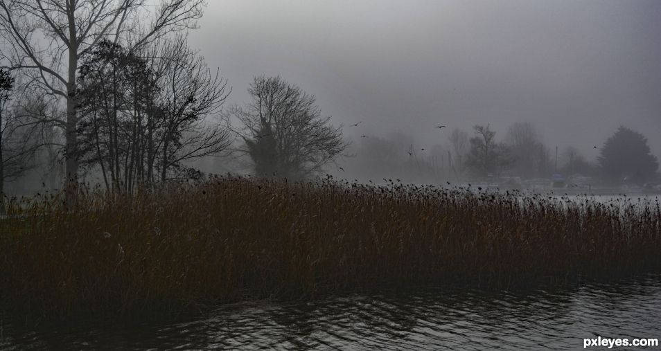 Misty River