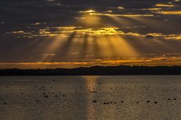 Myakka Sunset