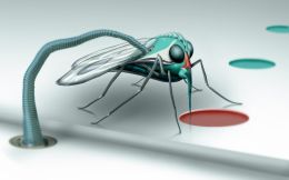 alien mosquito Picture