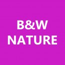 BW Nature 2020 photography contest