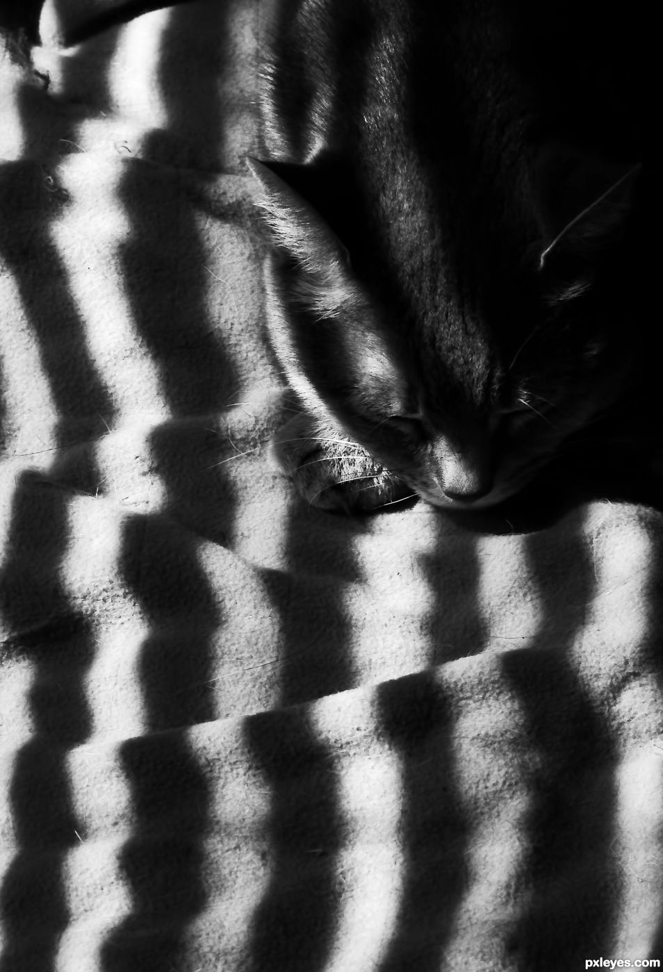 Striped Sleep