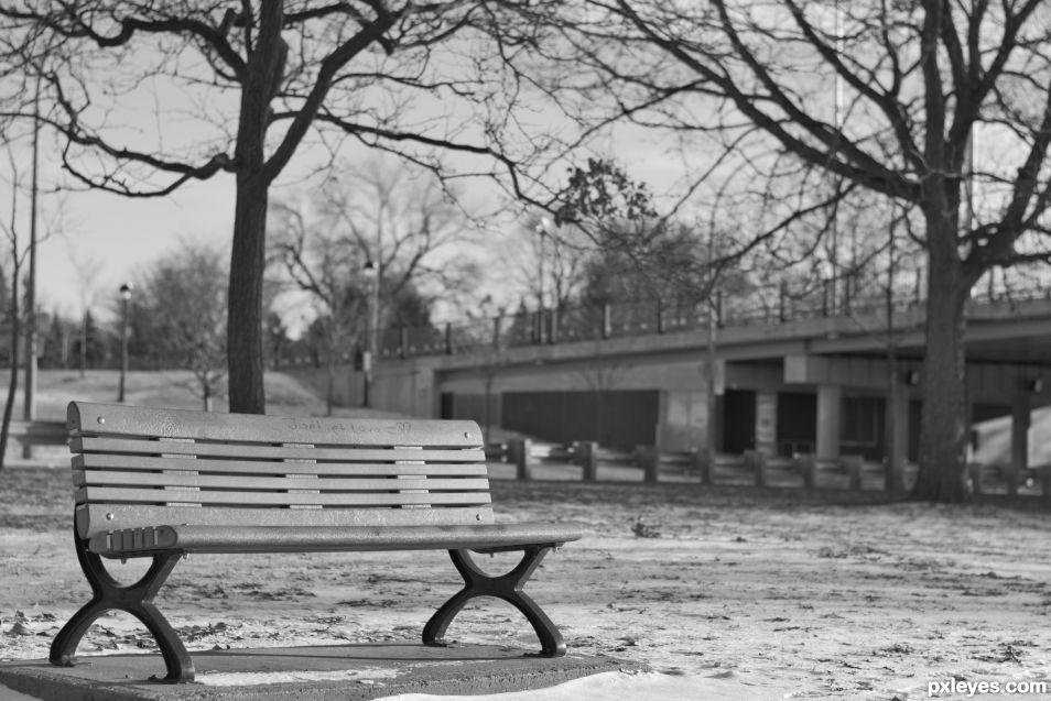 Bench Monochrome