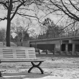 Bench Monochrome Picture