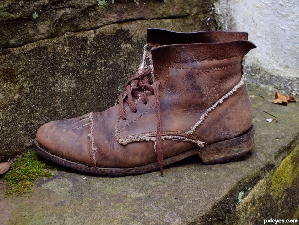 Old Brown Shoe