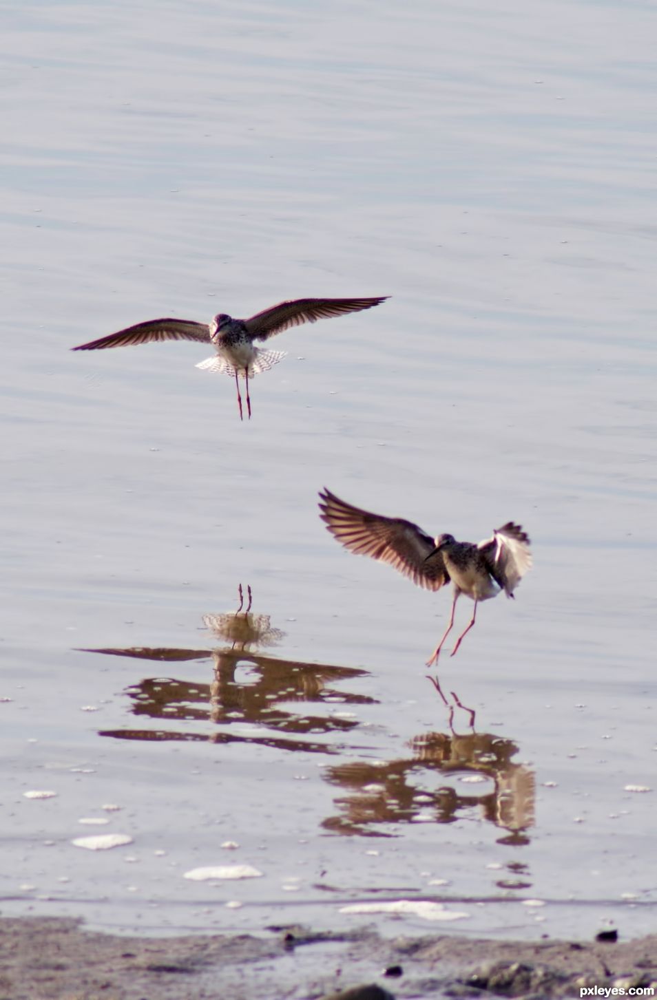 Coming in for a Landing