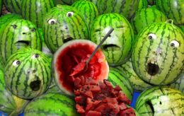 Watermelon Disembowelment