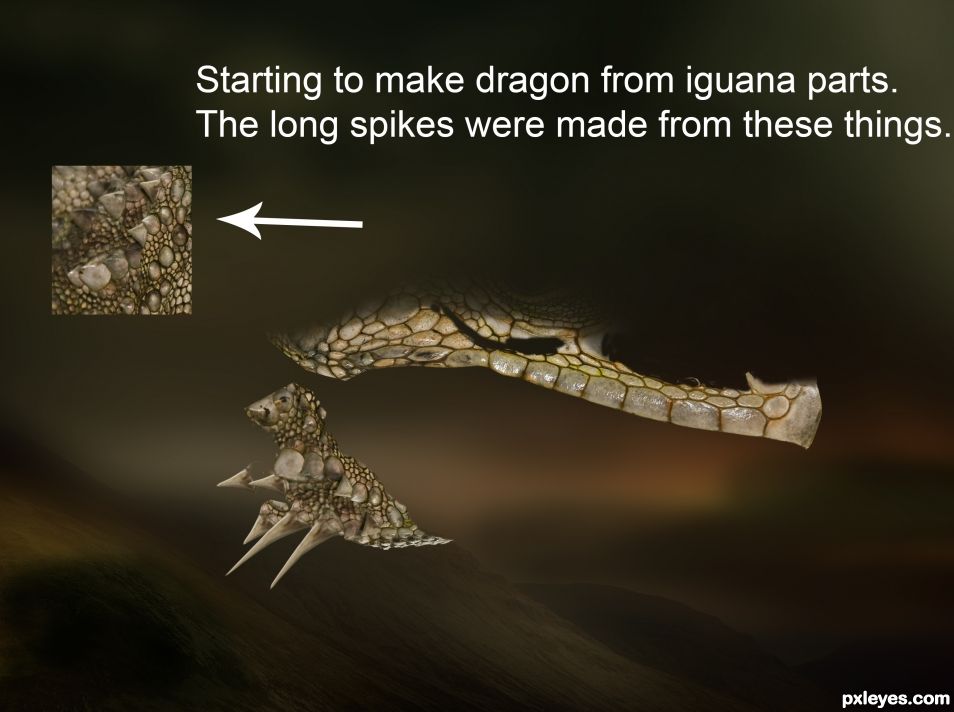 Creation of Fantasy Dragon: Step 5