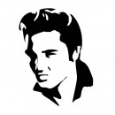 Elvis photography contest