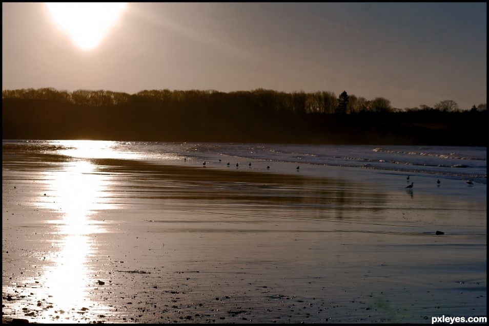 Beach at Dawn