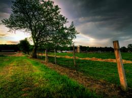 Farmland