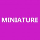 Miniature photography contest