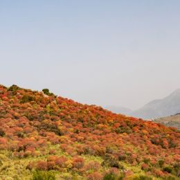 Albania