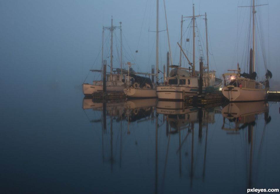 Moonlight in the Fog