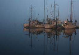 Moonlight in the Fog