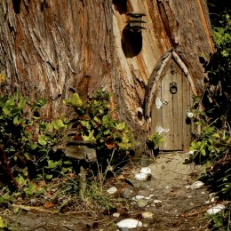 Hobbit Door