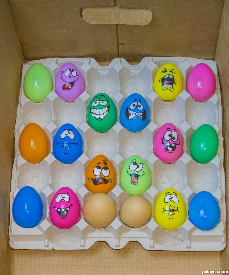 Eggs from the funny farm
