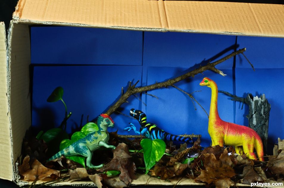 3rd Grade Diorama