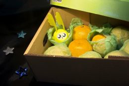 The Stowaway
