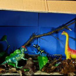 3rdGradeDiorama