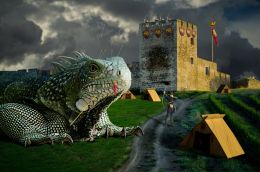Dragons and Tents