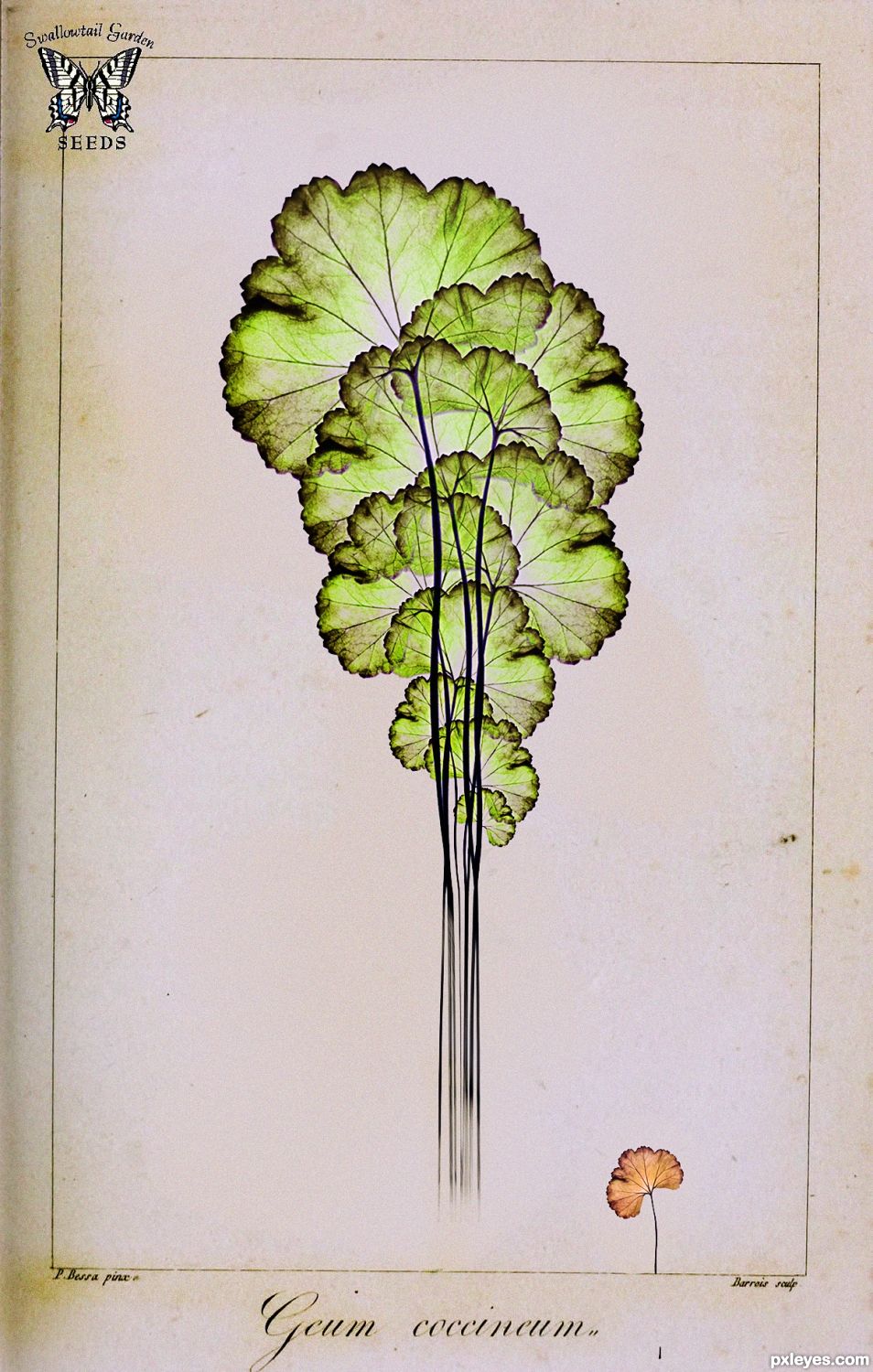 Herbier 1969 