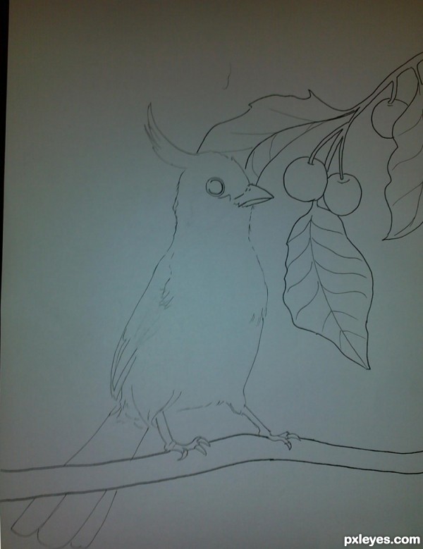 Creation of Bird With Cherries: Step 2
