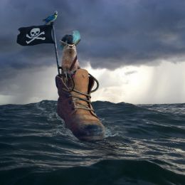 PirateontheHighSeas