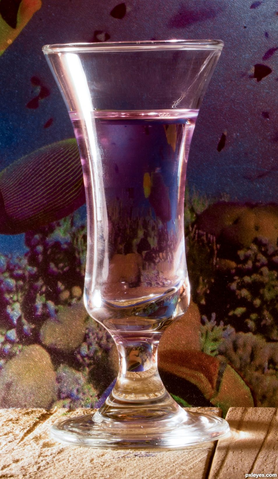 Liquor glass aquarium