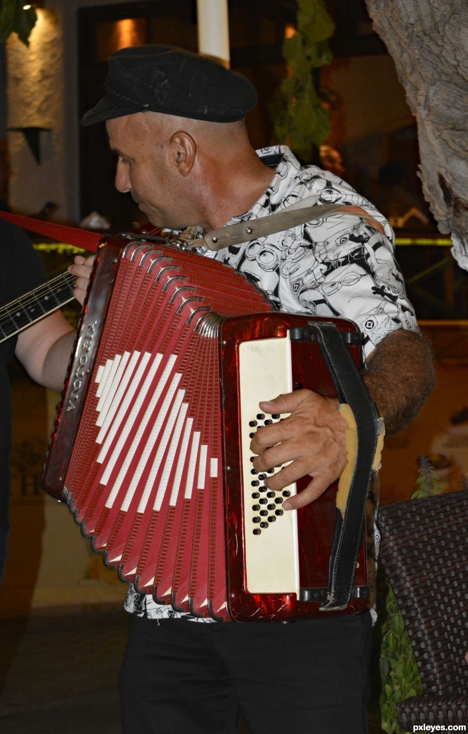 Accordian Player