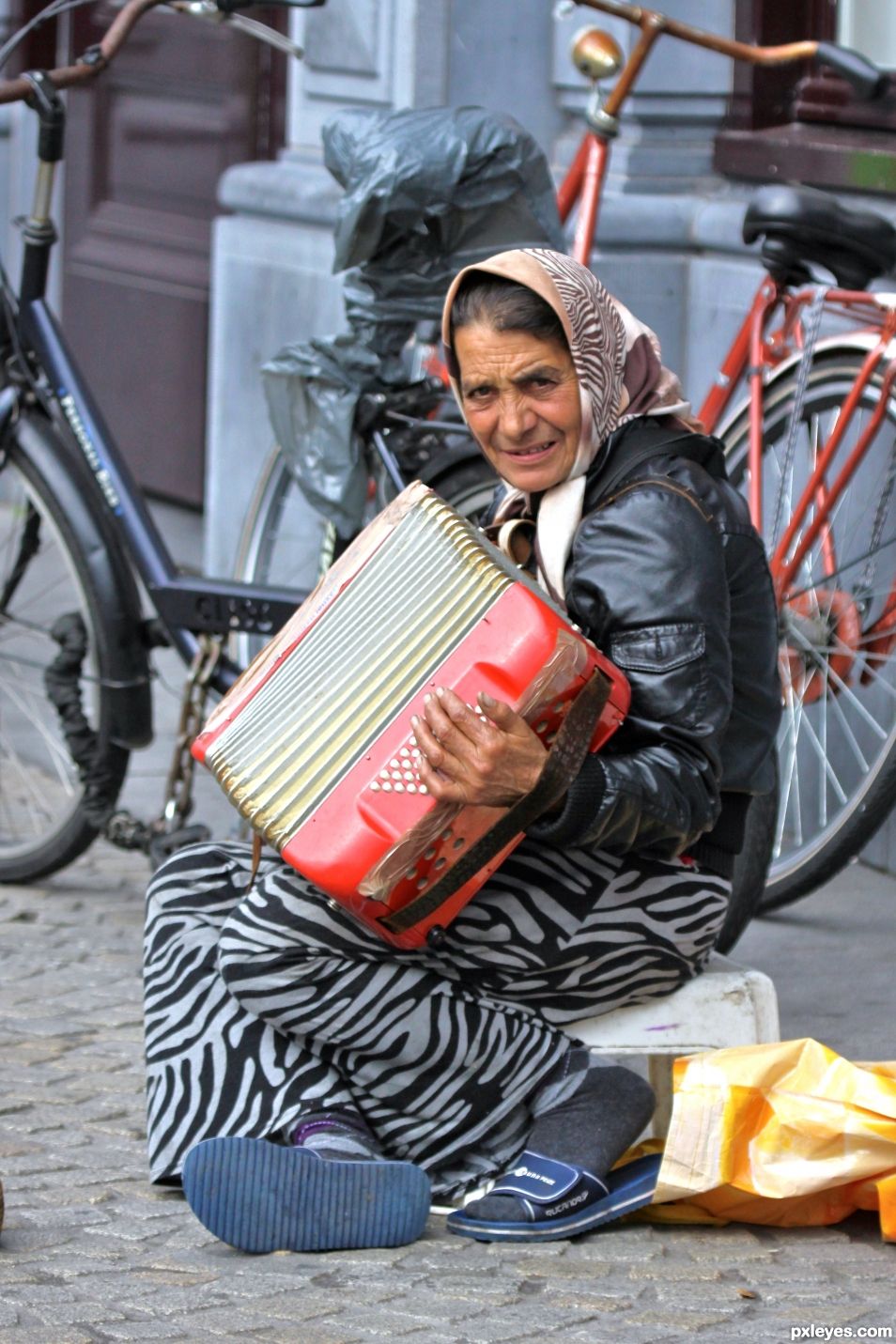 Accordion Player