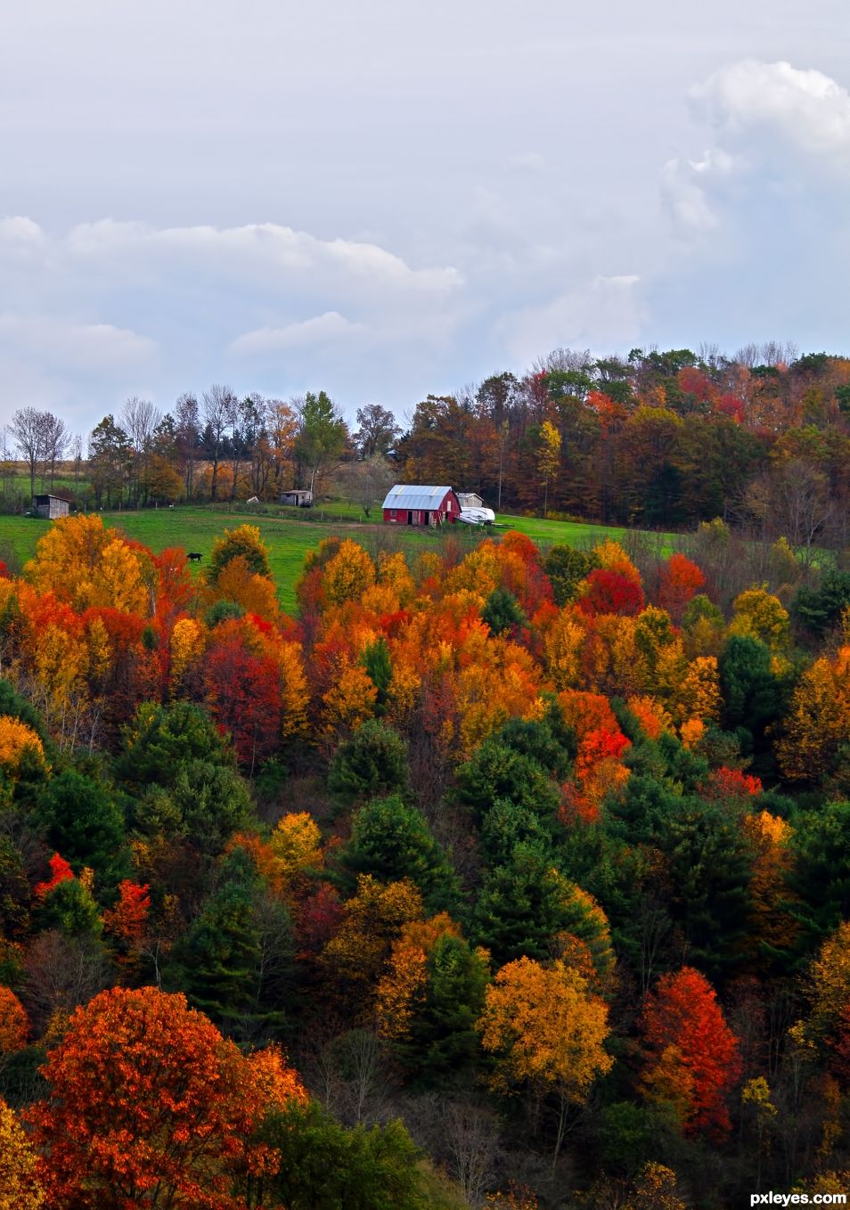 Autumn