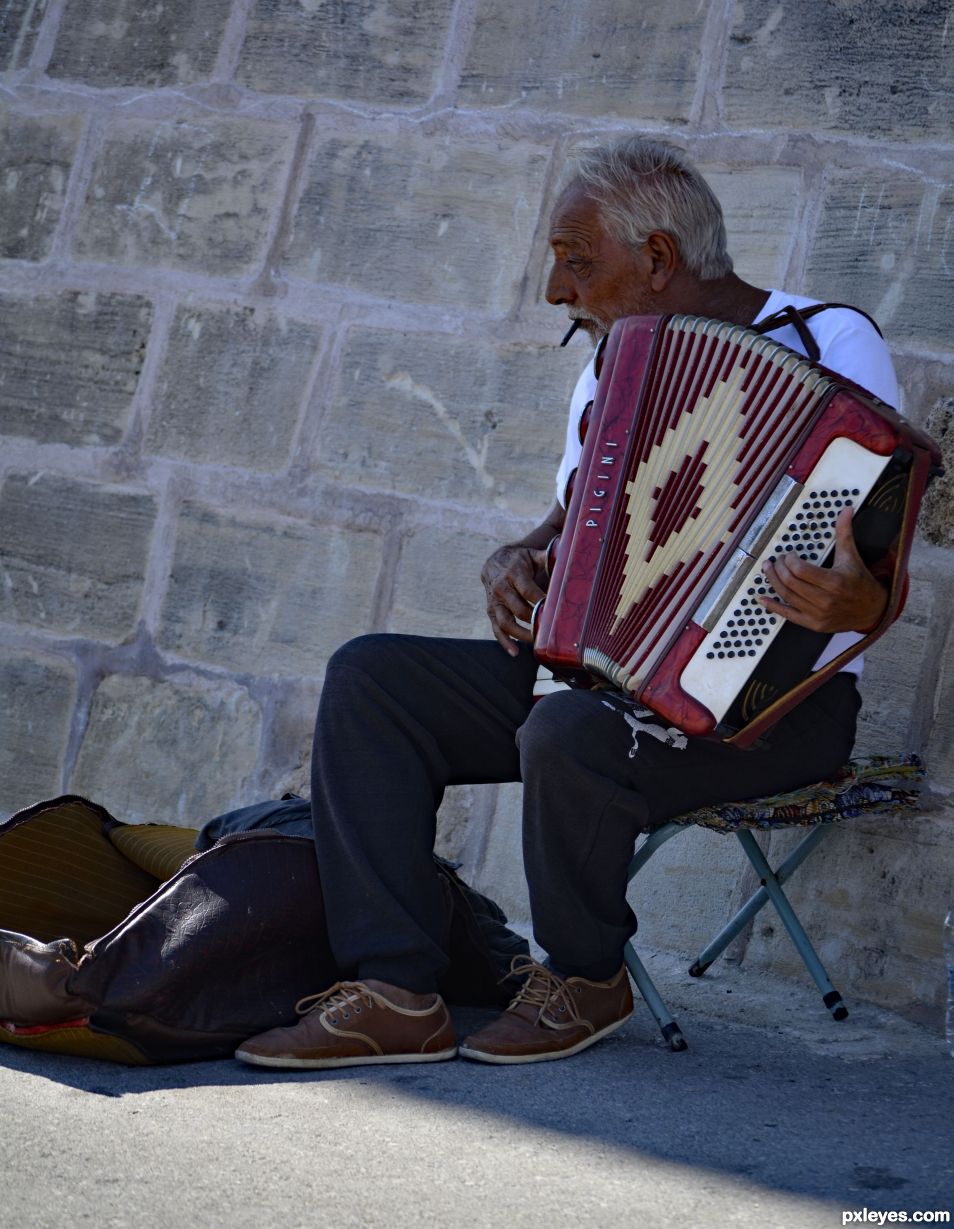 Accordian Player