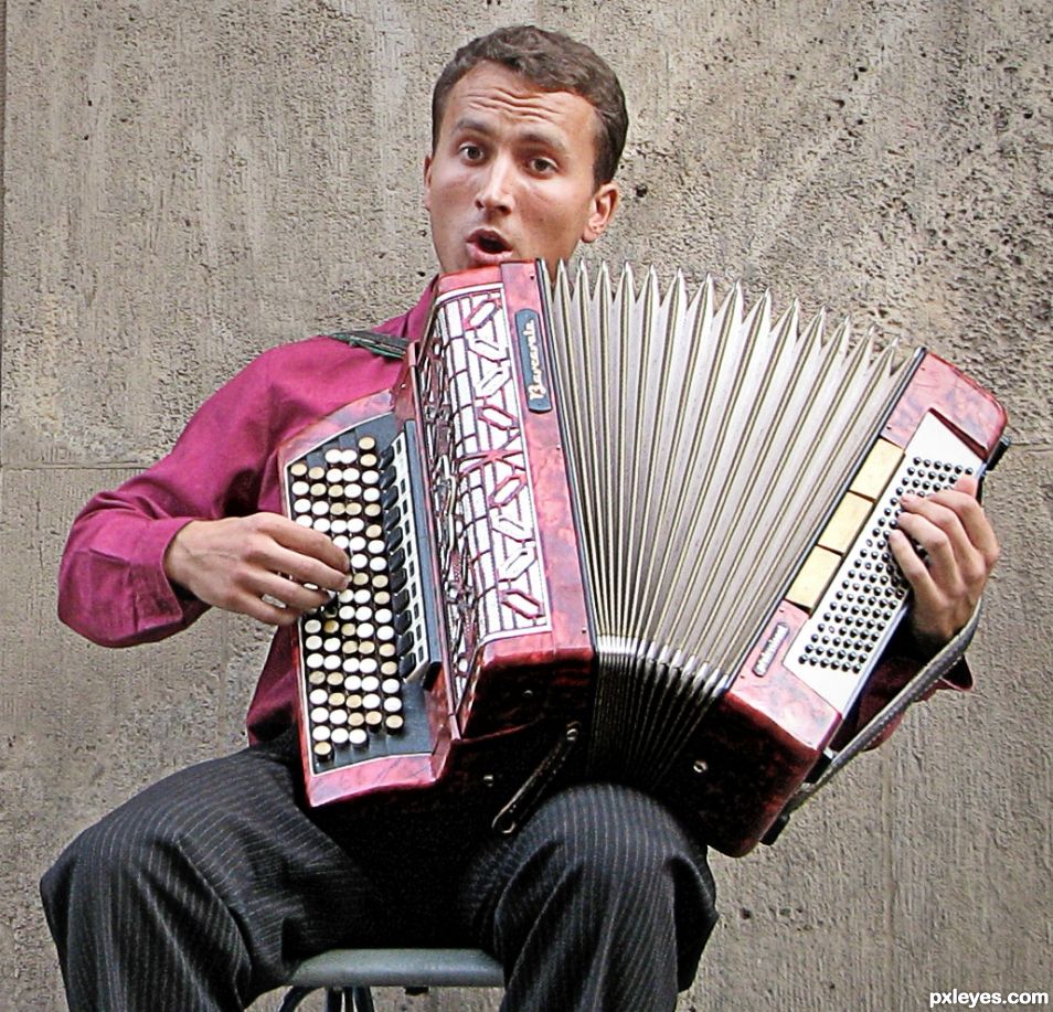 Ahh Another Accordian