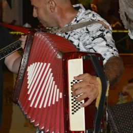 AccordianPlayer