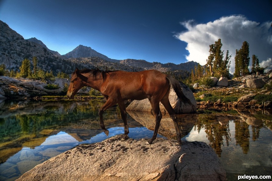 Up on Wild Horse Lake