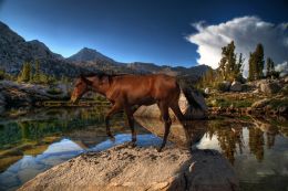 Up on Wild Horse Lake