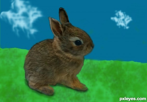 Creation of Little Bunny Rabbit: Final Result