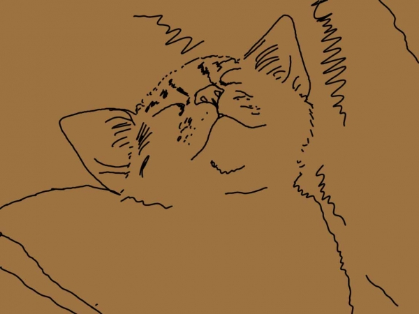 Creation of Sleeping little angel: Step 2