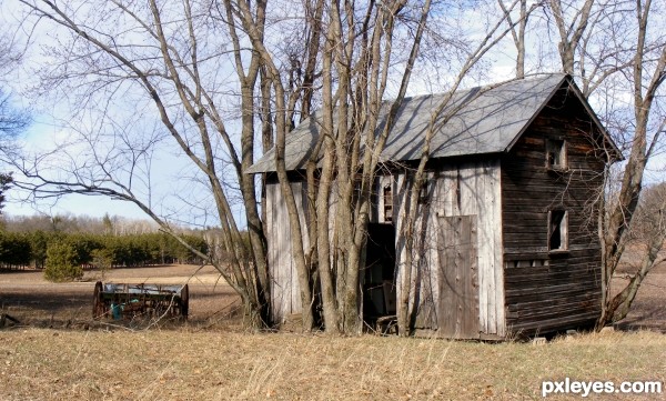 Sad Little House