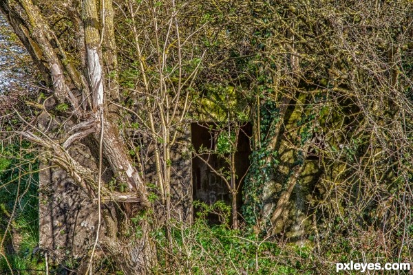 WW2 Pillbox