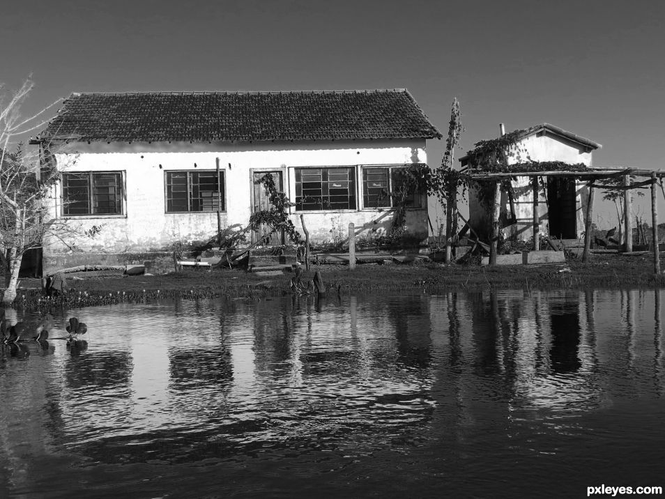 Reflections in water