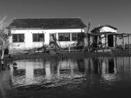 Reflections in water