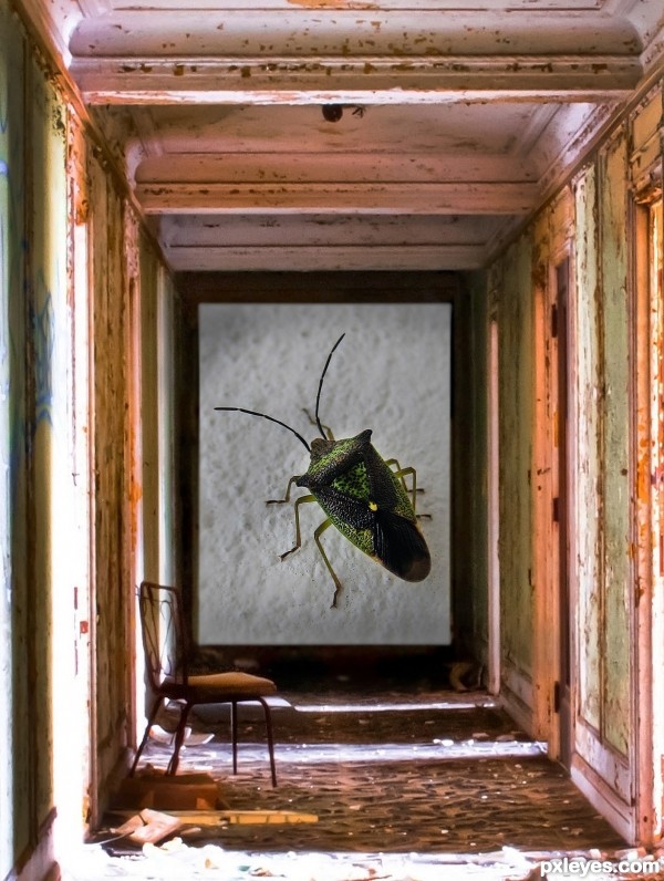 Creation of Cockroach Motel: Final Result
