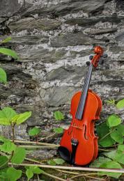 Violin