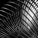 abstract metal 2 photography contest