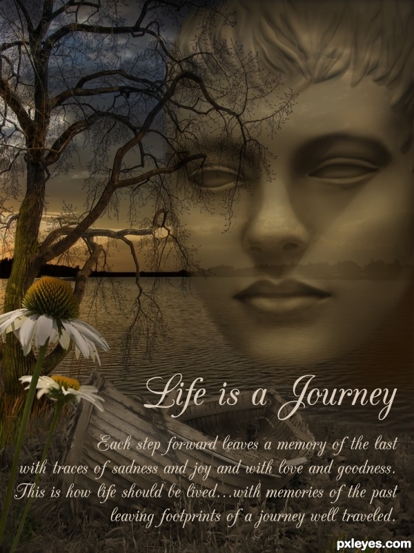Creation of Life is a Journey: Final Result