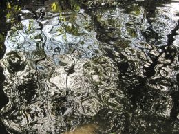 Sheltered pond